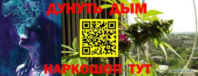 индика Рузаевка