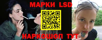 индика Рузаевка