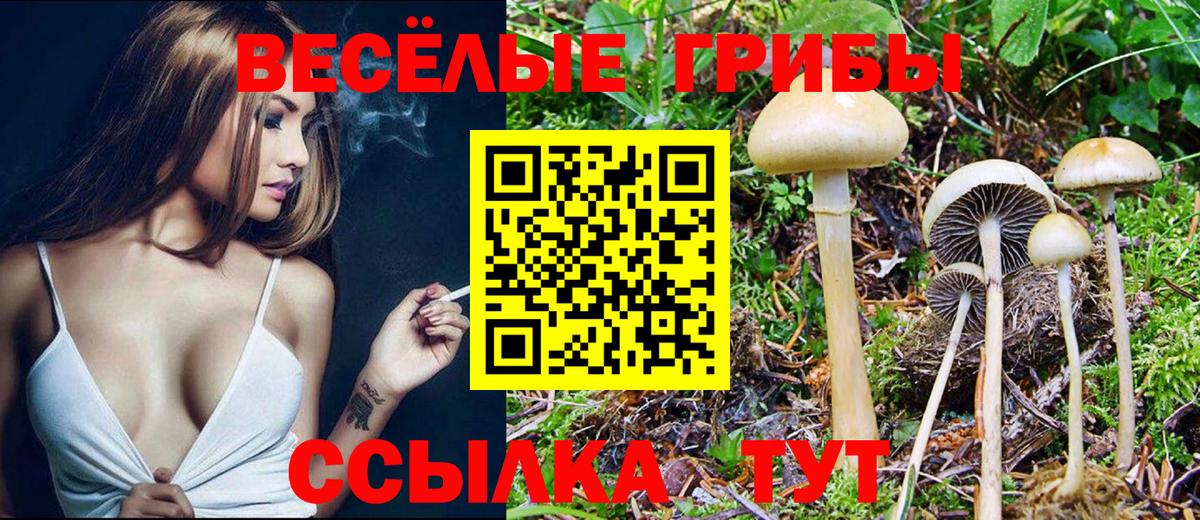 Обь  Галлюциногенные грибы MAGIC MUSHROOMS  Вход с VPN 